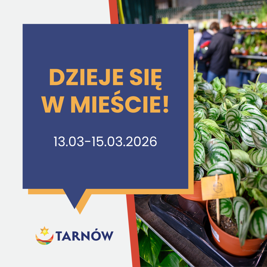 Dzieje się w mieście